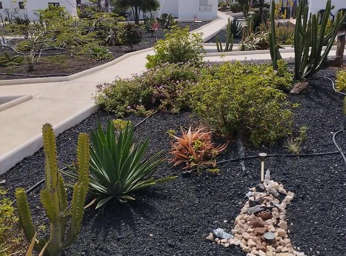 Casa Solymar Canarias 6 Feriehus Caleta De Fuste