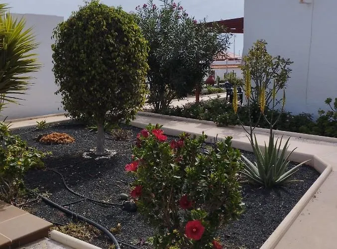 Casa Solymar Canarias 6