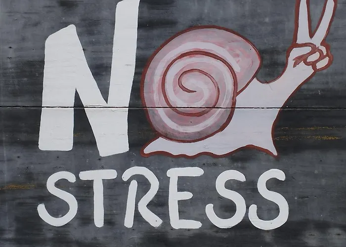 Casa Solymar Canarias 6